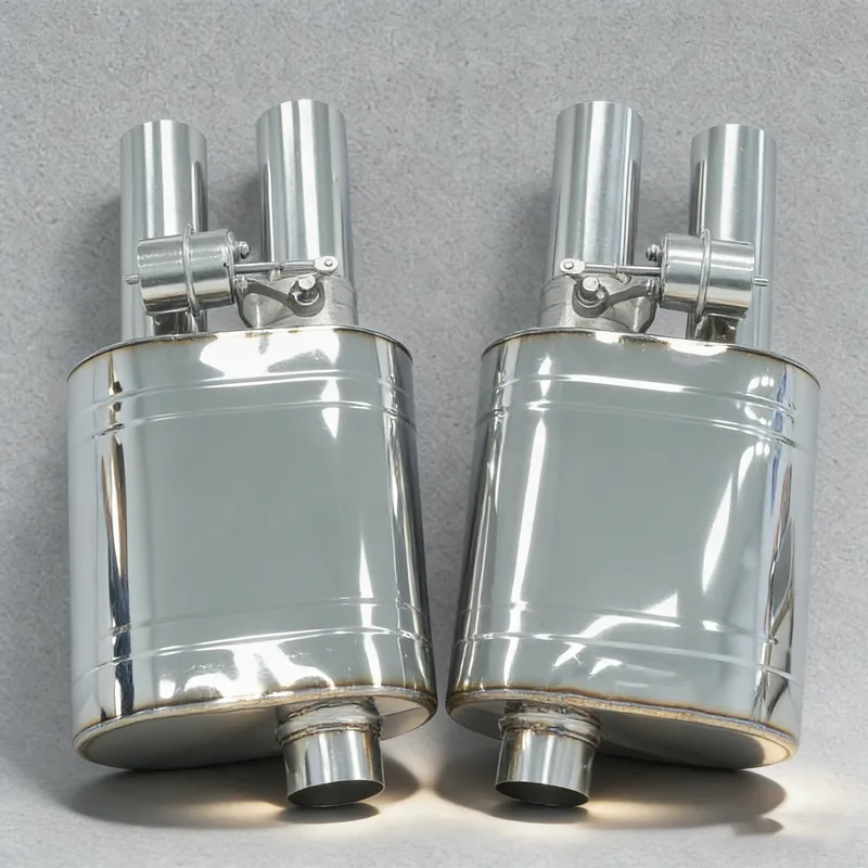 Single-Inlet Dual-Outlet Valved Muffler